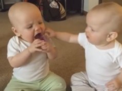 VIDEO: Rozkošné dvojičky sa hádajú o cumlík